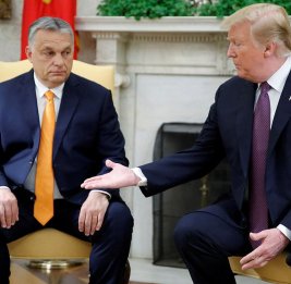 Трамп не обеспокоен поражением Орбана на выборах в Венгрии