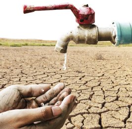 Засуха наступает семимильными шагами
