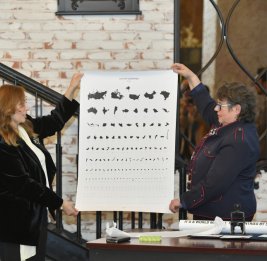 Баку принял международную встречу по филателии