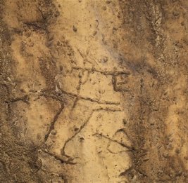 В Гобустане обнаружены новые наскальные изображения