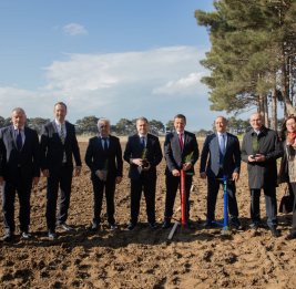 Дружба, пустившая корни