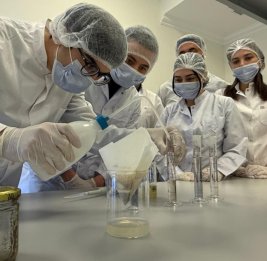 
Студенты БГУ проходят практику в Научно-исследовательском институте овощеводства