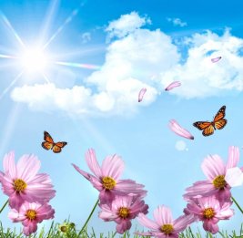 
Завтра в Азербайджане будет 22&deg; тепла