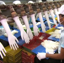 
Война в Иране привела к росту цен на резиновые перчатки: больницы бьют тревогу