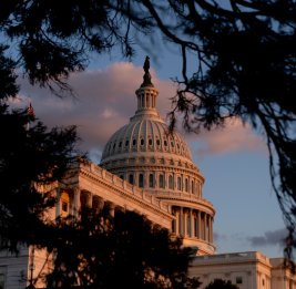 Сенатор США Ван Холлен выступил против поставок оружия Израилю