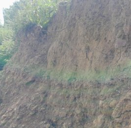 
В селе Сепаради Ленкоранского района произошел оползень