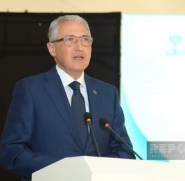 
Бабаев: Финансирование - ключ к продвижению климатической повестки