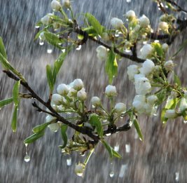 Объявлен прогноз погоды на воскресенье
