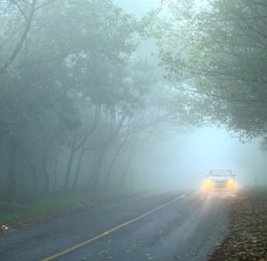 
Видимость на некоторых автомагистралях завтра будет ограничена до 500-1000 метров