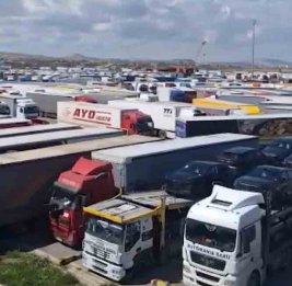 4 тысячи фур застряли в Аляте