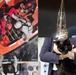 В Карибском море спасли мужчину с кошкой