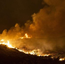 В Финляндииполностью сгорел остров, его не пытались потушить