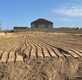 Золотой актив 