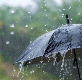 
Во вторник ожидаются дожди, к вечеру осадки постепенно прекратятся