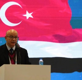 В МИД Турции заявили о необходимости участия ЕС в развитии Среднего коридора
