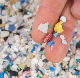 Микропластик повсюду: ученые предупреждают о скрытой угрозе для здоровья человека