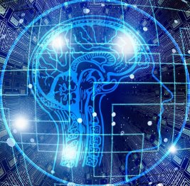 Японское СМИ: зависимость от американского ИИ может стать формой колониализма