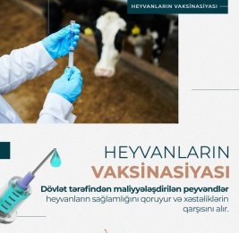 Как защитить национальное достояние 