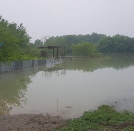 В Зардабе повысился уровень воды в Куре, ситуация под контролем