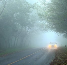 
Обнародован прогноз погоды на завтра