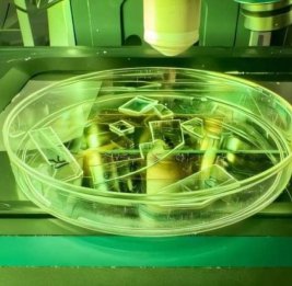 Создана противовирусная пленка для смартфонов и медицинского оборудования