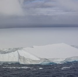 Растаял крупнейший в мире айсберг