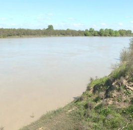 Госагентство водных ресурсов - о последней ситуации на Куре и некоторых горных реках