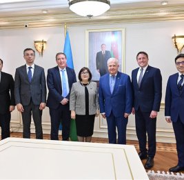 Сахиба Гафарова встретилась с членами межпарламентской группы дружбы Ирландия-Азербайджан