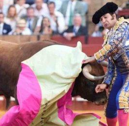 В Испании бык на корриде проткнул рогом тореадора