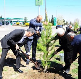 Экологическая акция