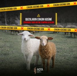 Здоровье нации и продбезопасность
