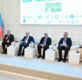 Гянджа как точка притяжения зеленого будущего