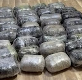 МВД провело операцию, изъято более 49 кг наркотиков