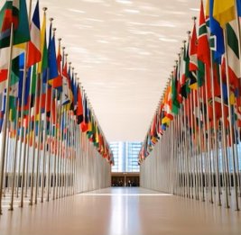 Мир не возникает сам по себе