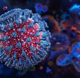 Ученые обнаружили новый механизм проникновения коронавирусов в клетки