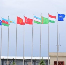 В ТюркПА осудили сожжение турецкого флага в Армении