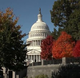 Уровень неодобрения Конгресса США вырос до рекордных 86%