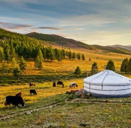 В Монголии зафиксировали сильное землетрясение
