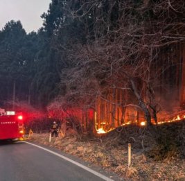 
В Японии 1 400 пожарных борются с масштабными лесными пожарами