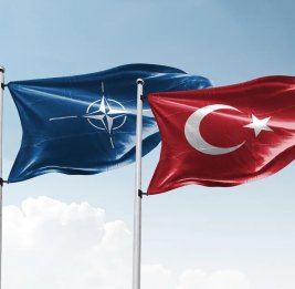 
Украина будет представлена на саммите НАТО в Турции