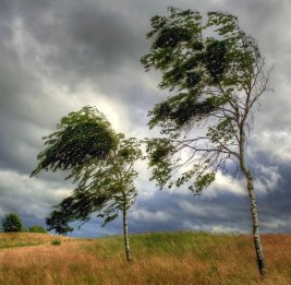 В Азербайджане в ближайшие два дня ожидается сильный ветер