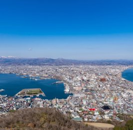 В Японии произошло сильное землетрясение