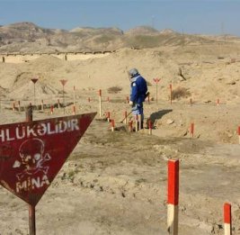 ANAMA: На освобожденных территориях за неделю от мин очищено около 1,6 тыс. га