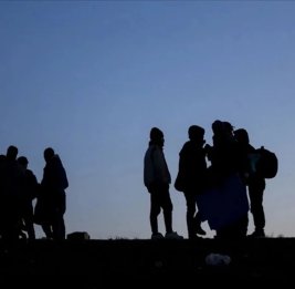 
В Грузии задержаны 55 мигрантов, среди которых граждане Азербайджана