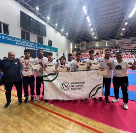 Стальная воля