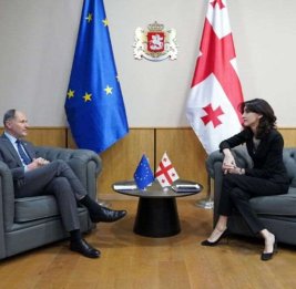 МИД Грузии вызвал посла ЕС