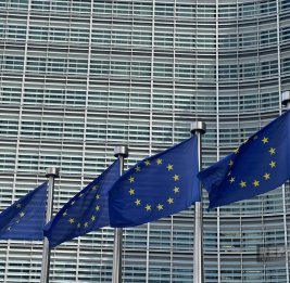 ЕС продлил санкции против Мьянмы на год