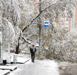 Снегопад в Москве
