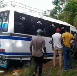 
Авария автобуса в Шри-Ланке: пострадали 34 школьника