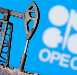 В ОАЭ назвали выход из ОПЕК и ОПЕК+ суверенным решением